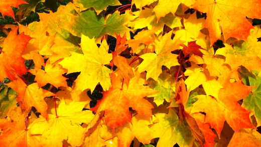 1383480 (a): :1920x1080